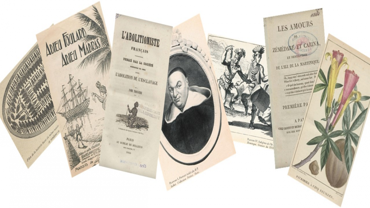 Collections patrimoine manioc